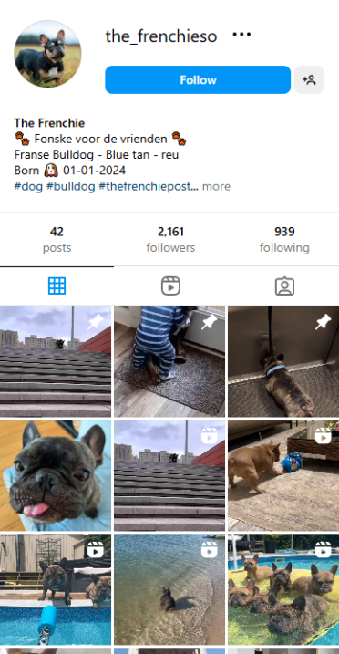 , Checkout